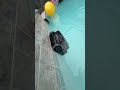 The aiper v3 is probably the most advanced cleaner of all time #fyp #pool #homeimprovement