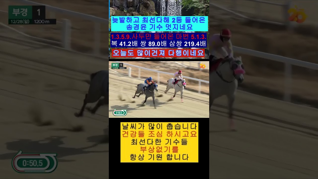 늦발하고 2등한 1번 송경윤 기수 입상 축하 영상보기