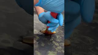 Hydro Dipping Cricket Bat #satisfyingvideo #hydrodipping