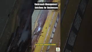 Cockroach Control service for Commercial places all over Tamil nadu