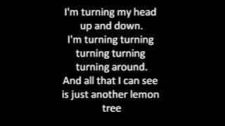 Lemon Tree-Lyrics