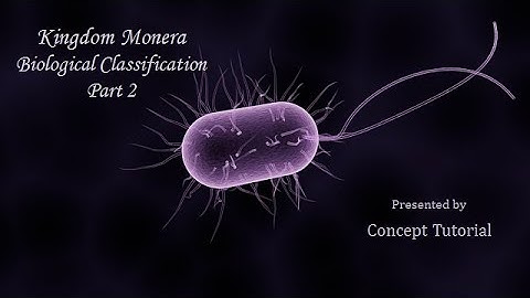 Kingdom Monera | Archaebacteria/Eubacteria/Cyanobacteria/Mycoplasma | Biology Class 11/NEET