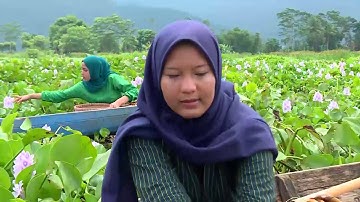 Begini Cara Mencari Ikan Dengan Cara Mede | BOCAH PETUALANG (11/12/20)