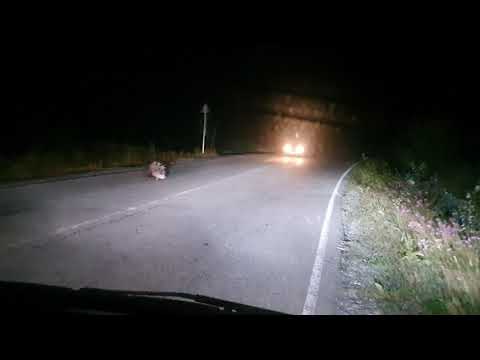 მაჩვზღარბა #travelingeorgia