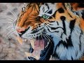 Realistic Tiger Speeddrawing | Svea T. Art