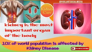 05 Worst food's for Kidney | How to keep kidney safe | Kidney Care by @VSM007 @imtiazchandio
