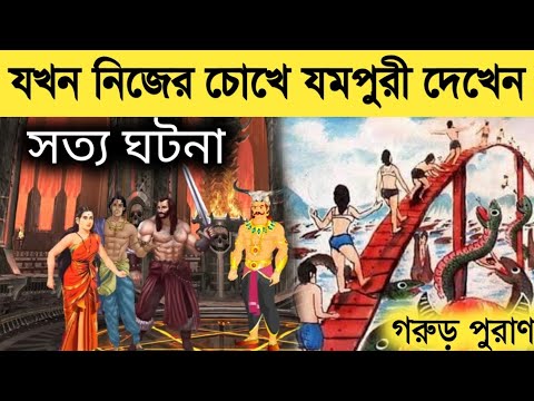 ভিডিও: কেন পরিত্যক্তরা ফিরে আসবেন