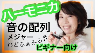 【初めてのハーモニカ❼】トレモロ複音ハーモニカ♪音の配列♪メジャー音階♪