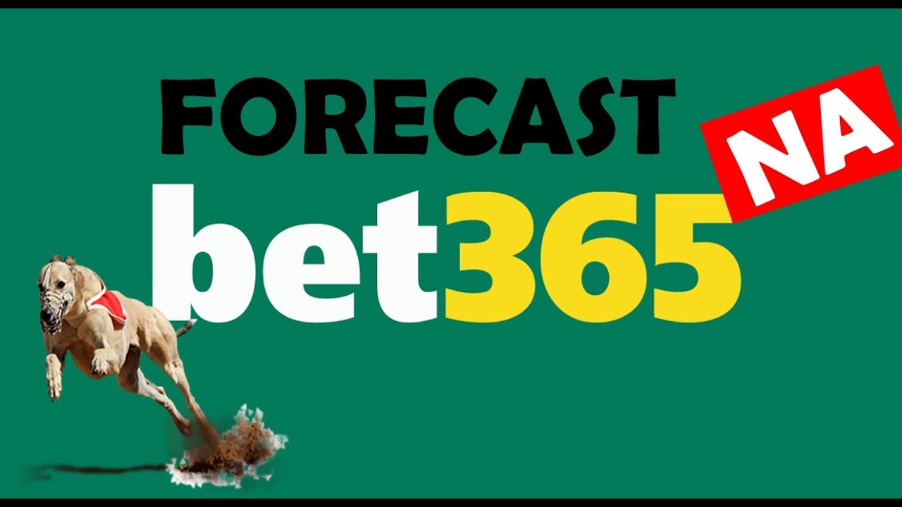 bet365 para iniciantes