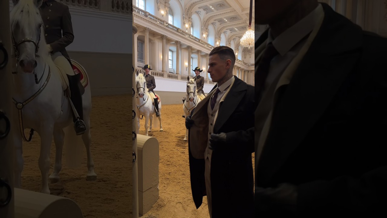 Wanna Try Horse Riding? 