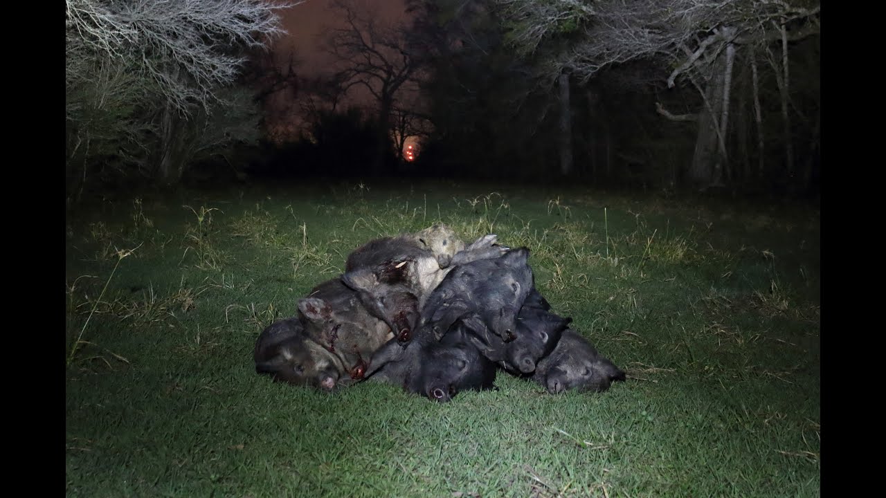 7.62x39 AR First Hunt 8 Confirmed Kills YouTube