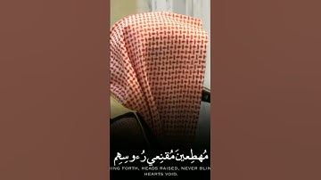 قران كريم لشيخ ناصر القطامي .   كم محبين الرسول صلى الله عليه وسلم  في الايكات