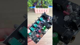 Wuzhi Audio ZK DAM H1