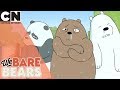 We bare bears  the perfect photo  cartoon network