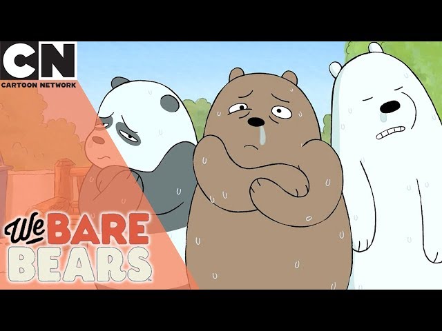 We Bare Bears - The Perfect Photo - Listening Practice