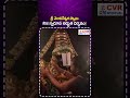 శ్రీ వెంకటేశ్వర స్వామి నిజ స్వరూప అద్భుత దర్శనం! | Sri Venkateshwara Swamy Temple | CVR OM Spiritual