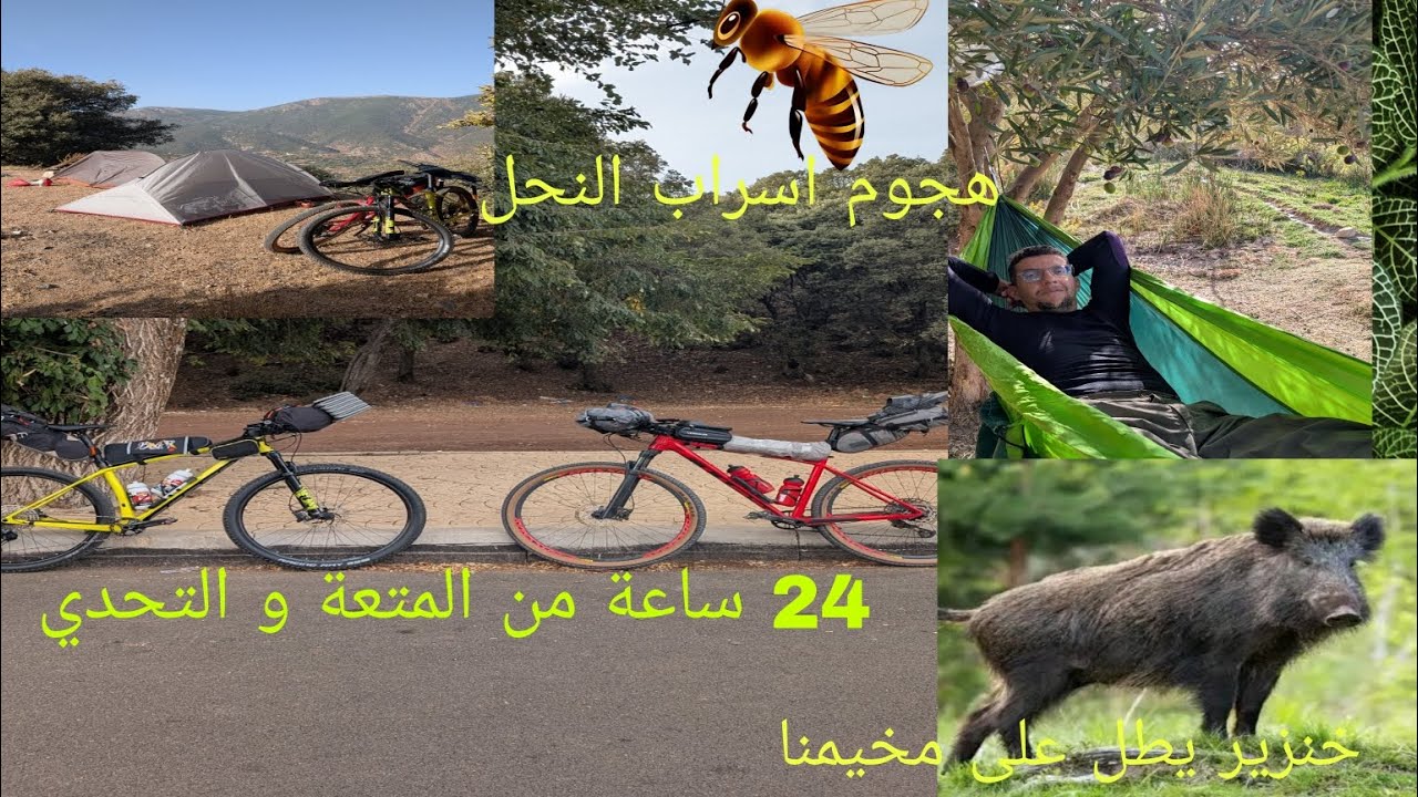 تخييم بالدراجة الجبلية  لتغيير النفسية مع هجوم النحل  و تجربة جديدة مع bikepacking  