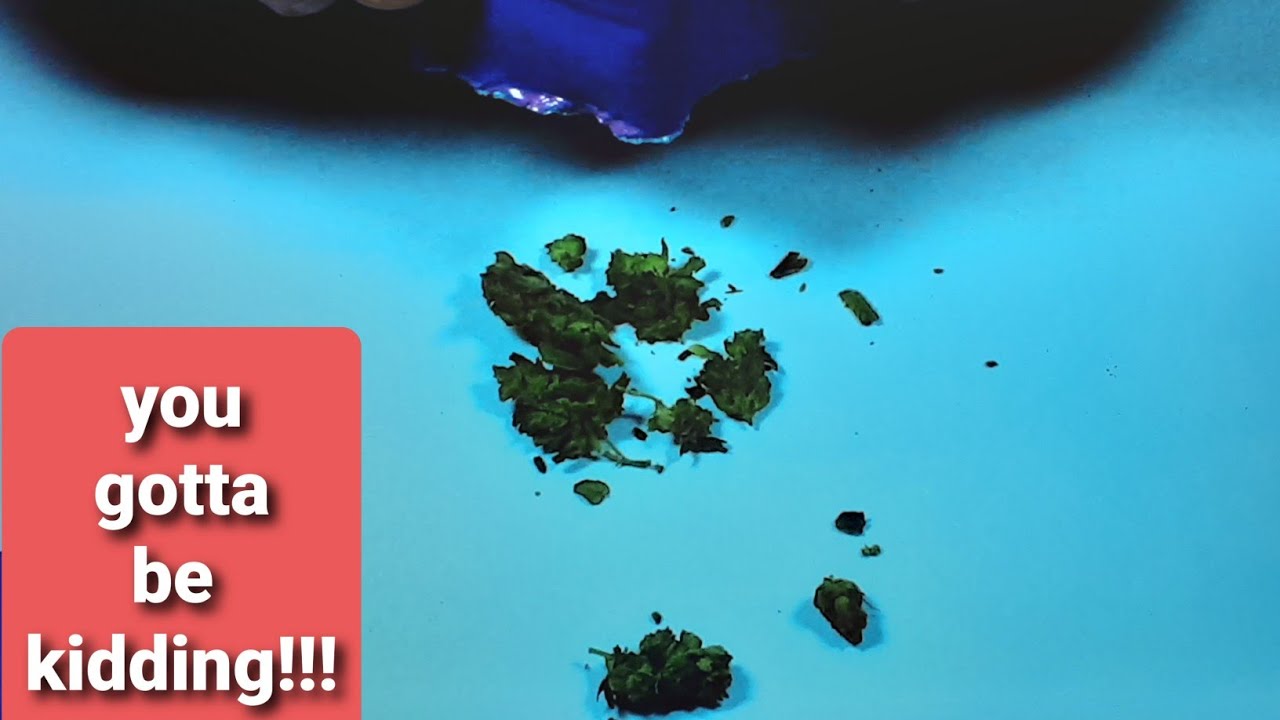 MASTER KUSH STRAIN REVIEW