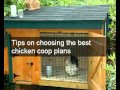 Cheap homemade chicken coop plans | Download quick easy to build homemade chicken coop plans Cheap homemade chicken coop plans | Download quick easy to build homemade chicken coop plans