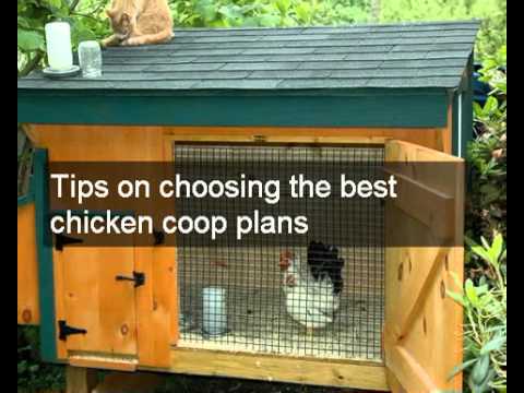 chicken coop plans | Download quick easy to build homemade chicken ...