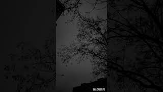 RELIC AWAKEN I AM COVER
