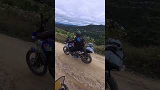 Descansa en paz amigo! 😢🕊️ @R1dergtM