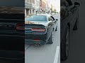 I Am Driving A Dodge Challenger | #dodge #challenger #trending #viral #shorts