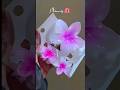 meesho finds aesthetic hair accessories ✨️ #viral #trending #shorts#ytshorts#ytshortsindia#ytviral