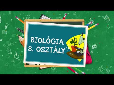 Videó: Az ózonréteg Nem áll Helyre, és A Tudósok Nem Tudják Megérteni, Miért - Alternatív Nézet