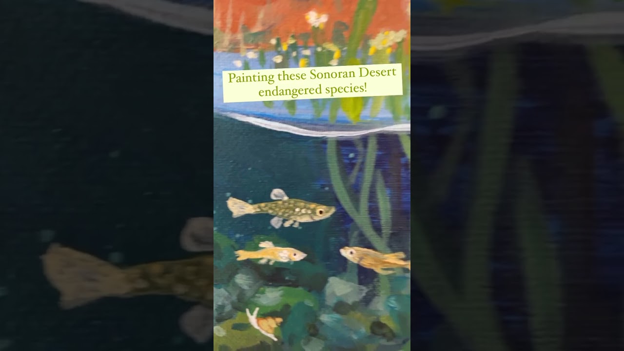 🖌️Painting of Arizona's Endangered Species - Conservation Program at the Phoenix Zoo🌵