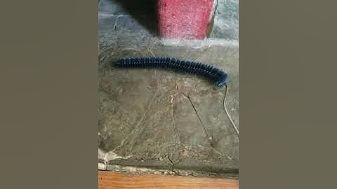 Vogelzang VG5770 cleaning techniques