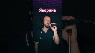 Яворина - Степан Гіга (Sergiy184) Cover