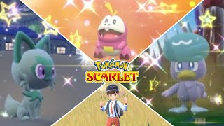 I Shiny Hunted All 3 NEW Starters in Pokemon Scarlet/Violet