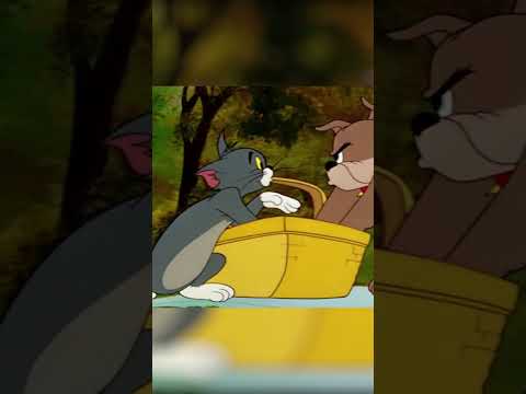 Mozgó szendvics Nézd meg a Cartoon Network műsorán #Piknik #TomésJerry #Klasszikusok #CartoonNetwork