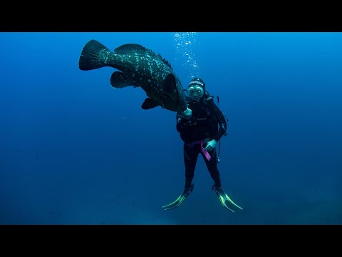 "AMPower": Our concrete project for marine protection