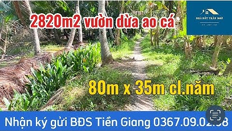 T.476_Bán vườn dừa ao cá mặt tiền khủng 80m x 35m Bình Trưng Châu Thành TG