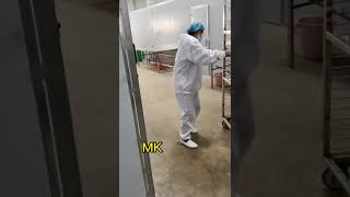 Automatic Fruit roll fruit leather forming machine Fruit roll candy making machine