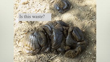 APES Unit 8.1 - Sources of Pollution