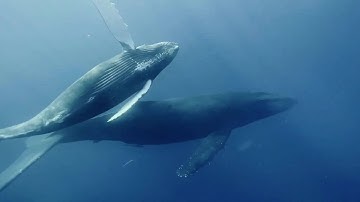 The OCEAN Project’s Vision for Safer Navigation