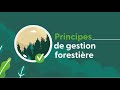 La gestion forestire responsable fsc