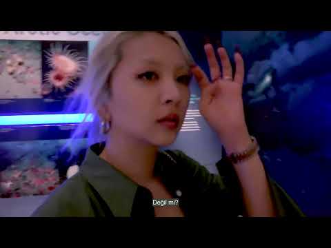 [Türkçe Altyazılı] KARD Jiwoo Washington Vlogu