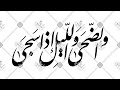 سورة الضحى بصوت القاريء عمر بن عبد العزيز 