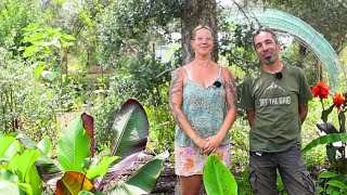 All about COMPOSTING & just look at our BANANA CIRCLE  Food Forest EP10 wk16