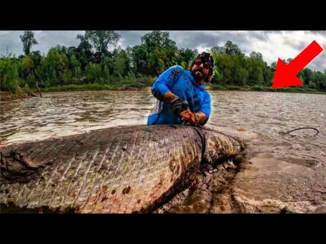 You Might NEVER Catch A Fish This Big! 