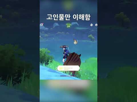   고인물만 이해함 원신