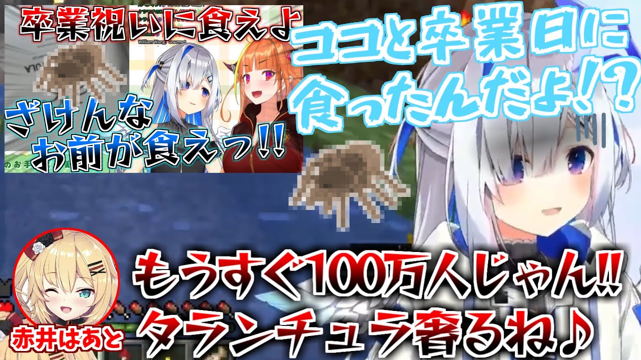 思い出話をしていたら100万人記念のプレゼントが決定してしまった天音かなた【 ホロライブ 切り抜き 天音かなた 赤井はあと 】