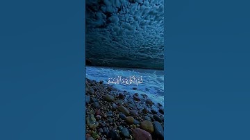 ارح اذانيك #quran #قرآن #تلاوة_خاشعة #راحة_نفسية #قرآن_يوميا #surahalbaqarah #القرآن_الكريم