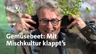 Gemüsebeet im garten anlegen | horst sein schrebergarten | rbb