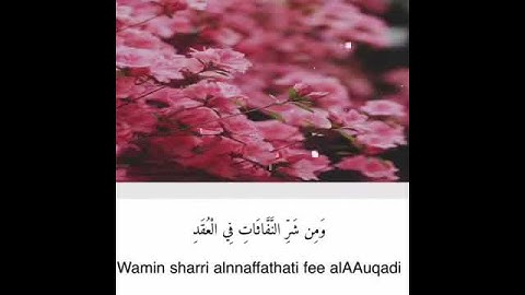 سورة الفلق ❤️ للشيخ ماهر المعيقلي |حالات واتساب|