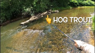(BROWN TROUT FISHING) With MEPPS SPINNERS #fishing #trout #troutfishing #fun #fish